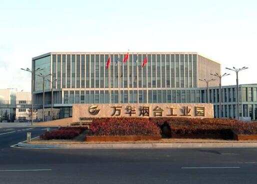 万华化学集团股份有限公司甲醛一体化项目